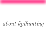 about koihunting