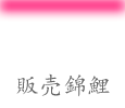 Ӹ