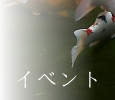 ٥