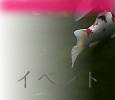٥