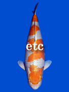 etc