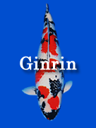 Ginrin