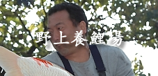 ܸ