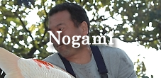 nogami