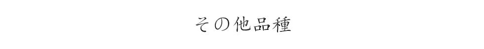 ¾ʼ