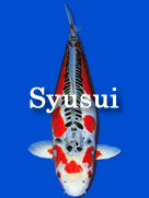 syusui