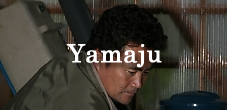 yamaju